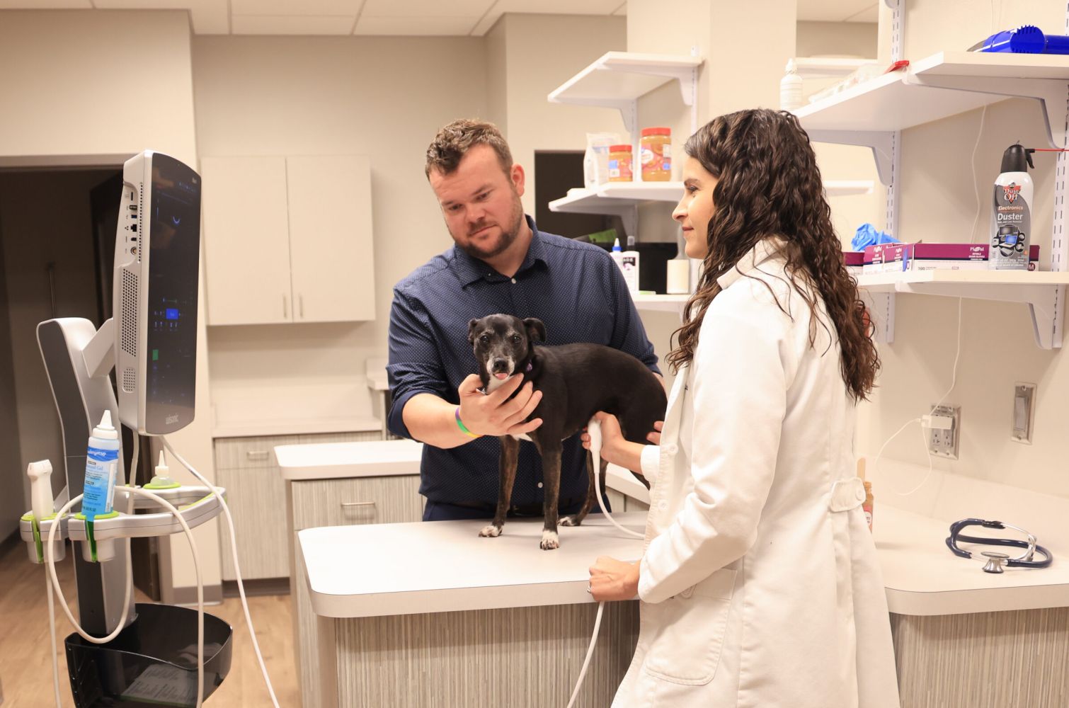 Greenfield Veterinary Clinic case study