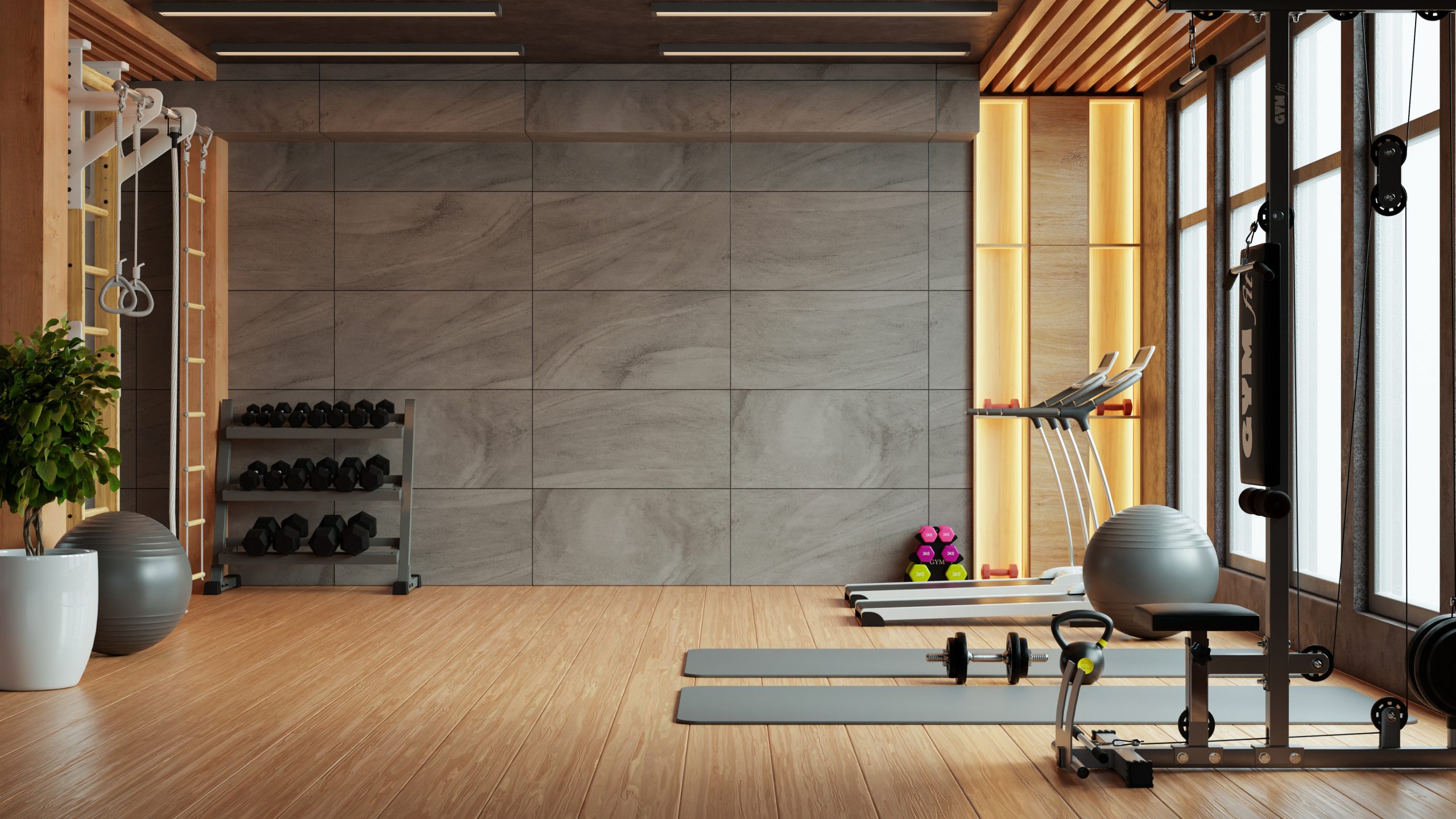 Modern Gym