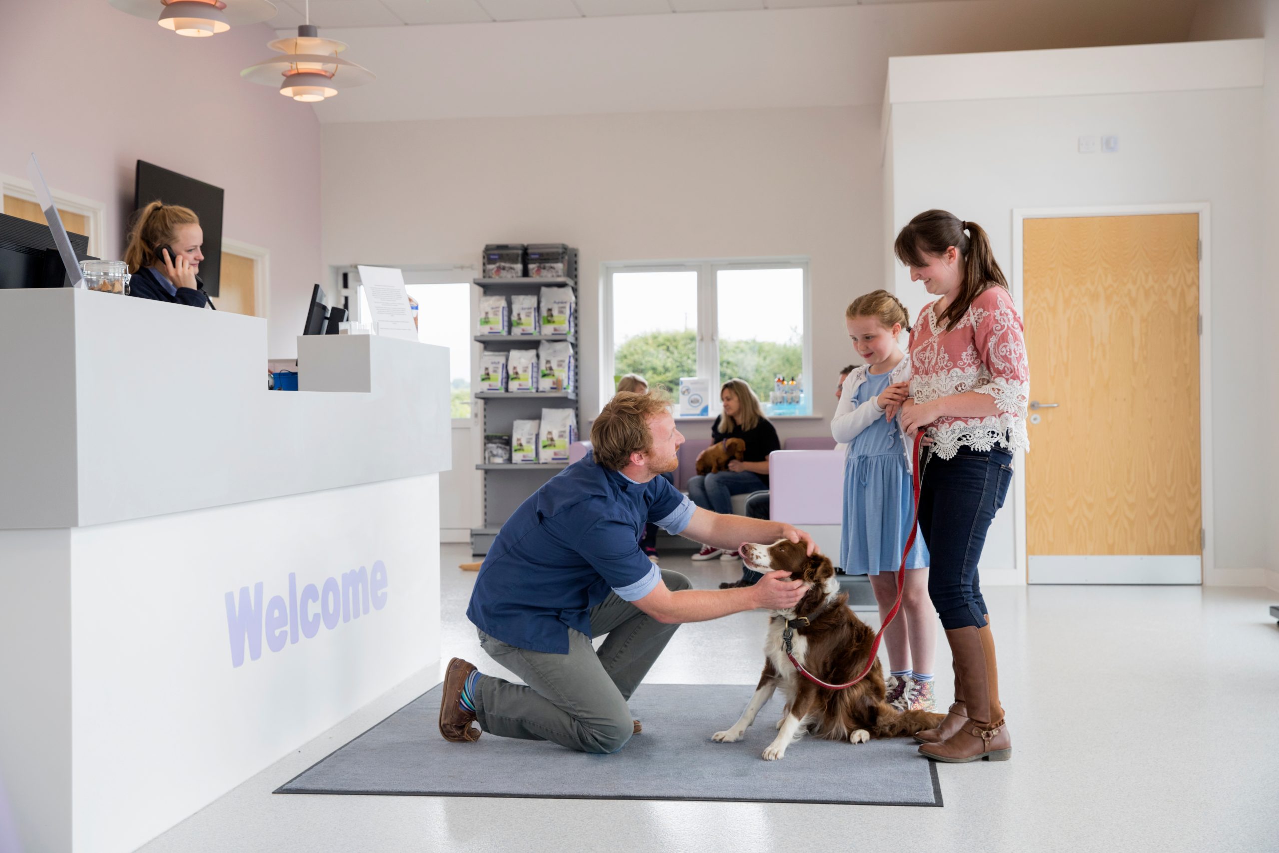Pet owner meeting with a veterinarian