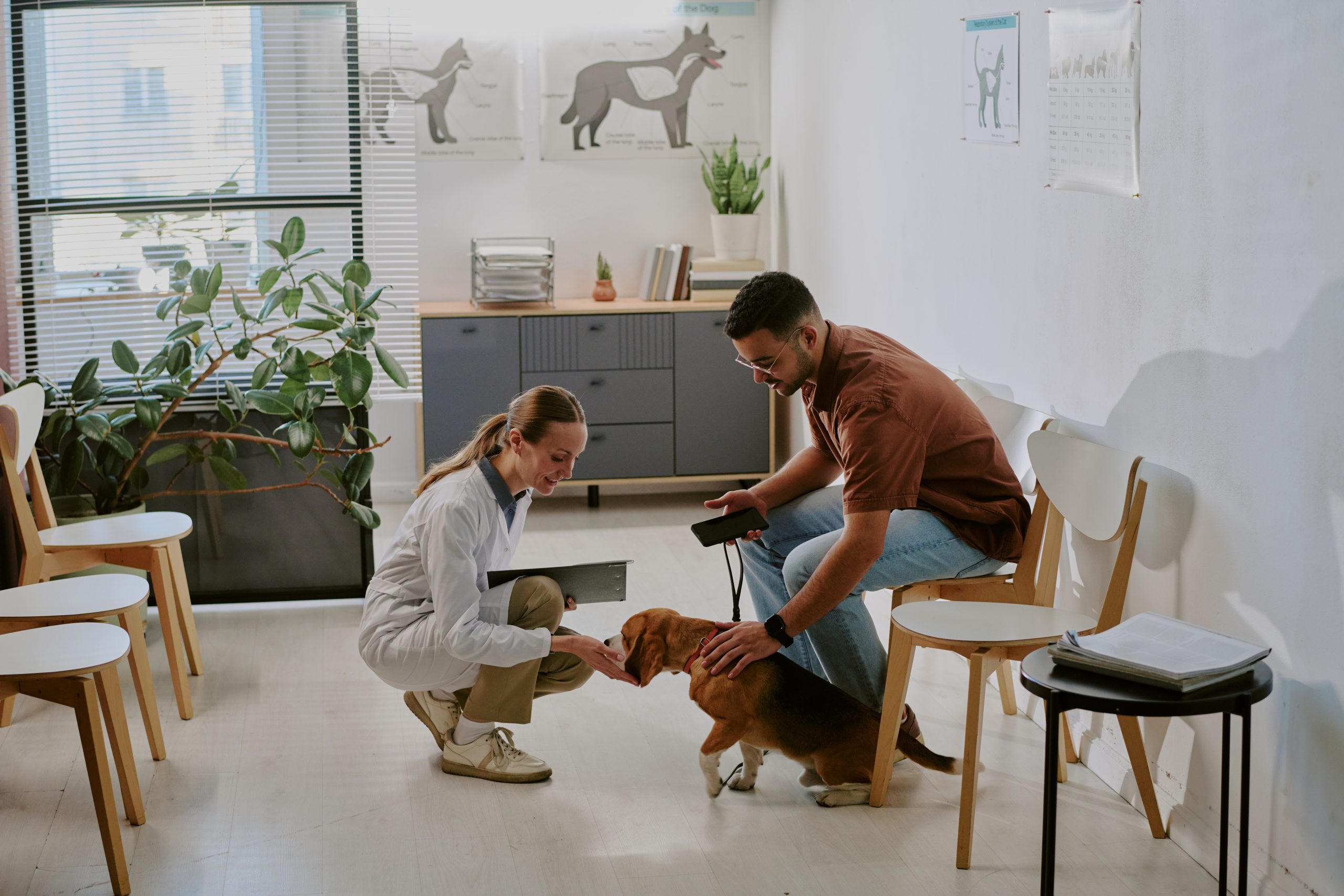 Veterinarian Checking Dog's Health in Modern Clinic