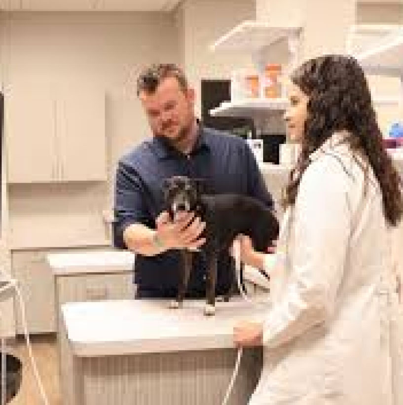 Greenfield Veterinary Clinic